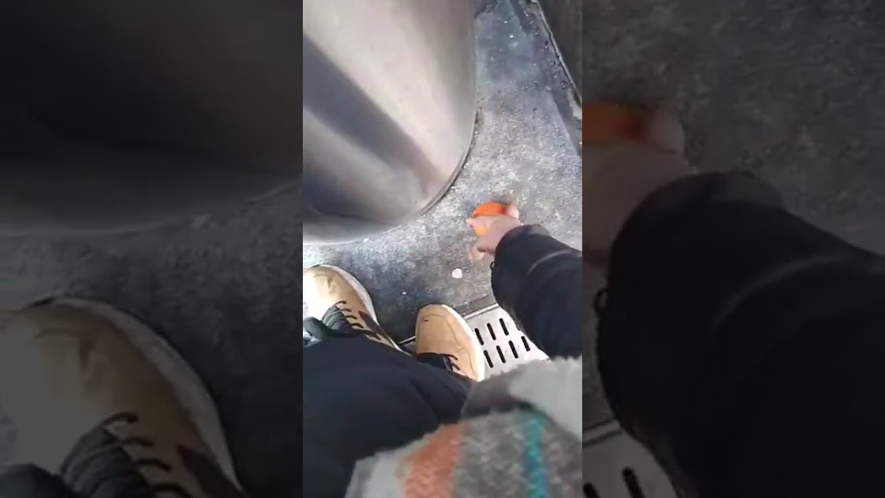 Обзор новой прикормки у мусорки|Review of new food offering by the dumpster&mdash;for the blessed wanderer