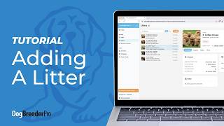 How to add a litter in Dog Breeder Pro