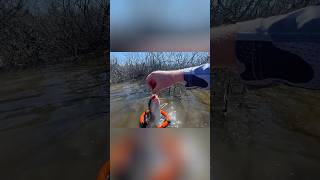 Have You Ever Caught This?