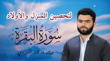 سورة البقرة الشيخ بيشه وا الكردي لتحصين المنزل والأولاد 🕋✨