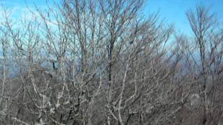 AS(212)-MotaCetin-Asturias-Panoramicas.mpg