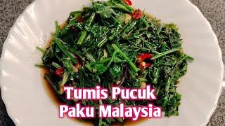 TUMIS PUCUK PAKU MALAYSIA