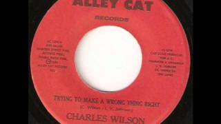 Celebrity Trying To Make A Wrong Thing Right  -  Charles Wilson Profile