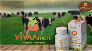 Viva Mart Cow Clustrm