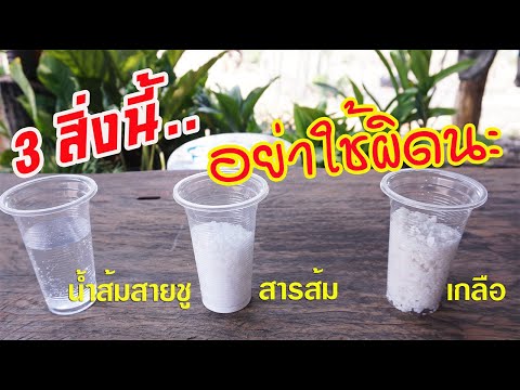เตือนไว้! ก่อนใช้ผิด! กับของ 3 อย่างคือ เกลือแกง น้ำส้มสายชู และสารส้ม