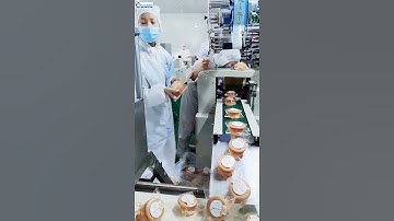 High speed food grade cake pillow bag flow packaging machine running video