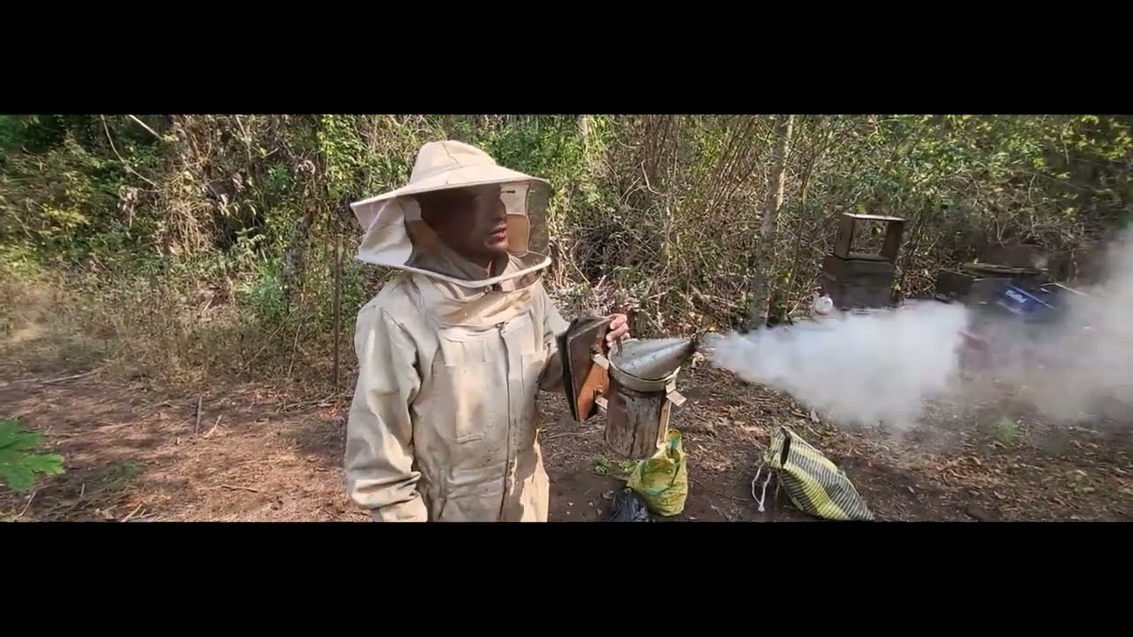 Cambio de fondo de cámara de cría