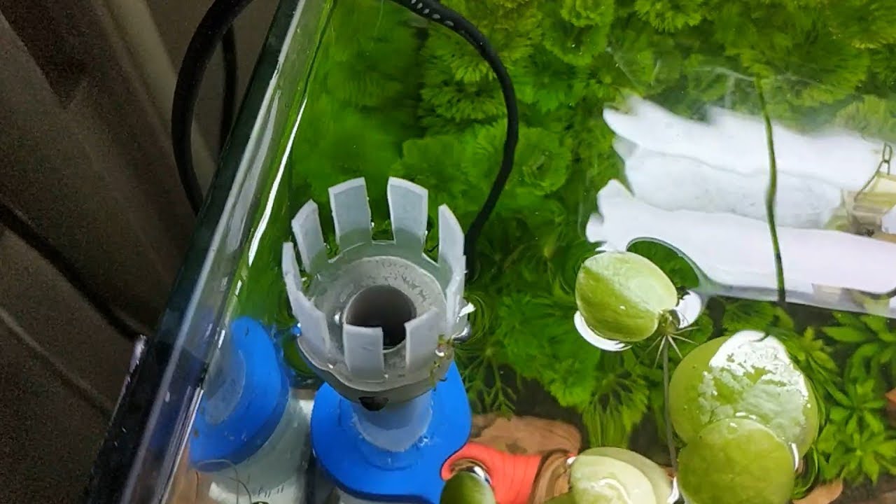 DIY floating surface (aquarium) skimmer by Killer81 