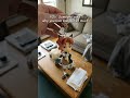 🫵Visit my profile 🔗 to get your custom figurines.No Kakyoin fan can resist this custom! #snapfig