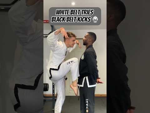 WHITE BELT TRIES BLACK BELT KICKS