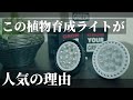 【レースカーテン越しの光】コスパ良し！観葉植物育成用LEDライト「Plants NEXLIGHT（プランツネクスライト）」で日照時間が短い季節や暗い室内でも植物が育つ！初心者にもおすすめ！スタンドも！