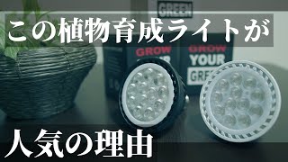 【レースカーテン越しの光】コスパ良し！観葉植物育成用LEDライト「Plants NEXLIGHT（プランツネクスライト）」で日照時間が短い季節や暗い室内でも植物が育つ！初心者にもおすすめ！スタンドも！
