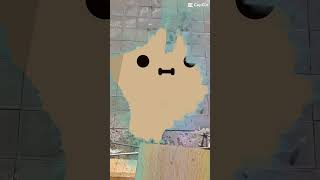 IMG 1856