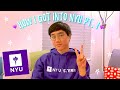 how i got into NYU Stern💜 with a full scholarship! ✰ part 1 (stats, gpa, sat scores & advice)