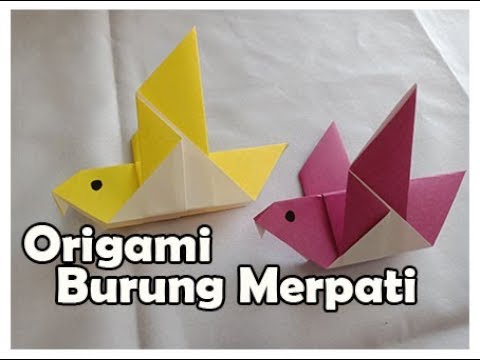 Video: Cara Membuat Pemakan Burung Sederhana