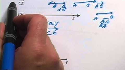 Basic Math: Lines, Segments, and Rays