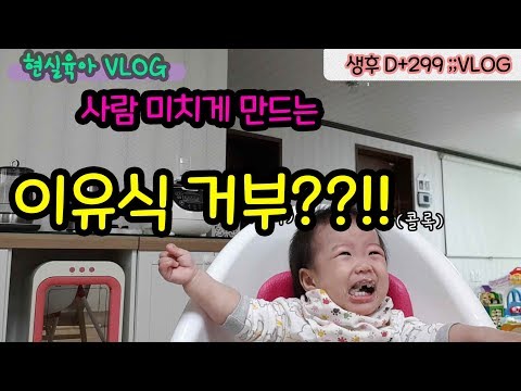 닭가슴살이유식 추천