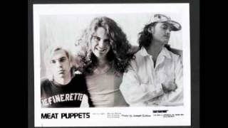 Video thumbnail of "Meat Puppets - Tennessee Stud"