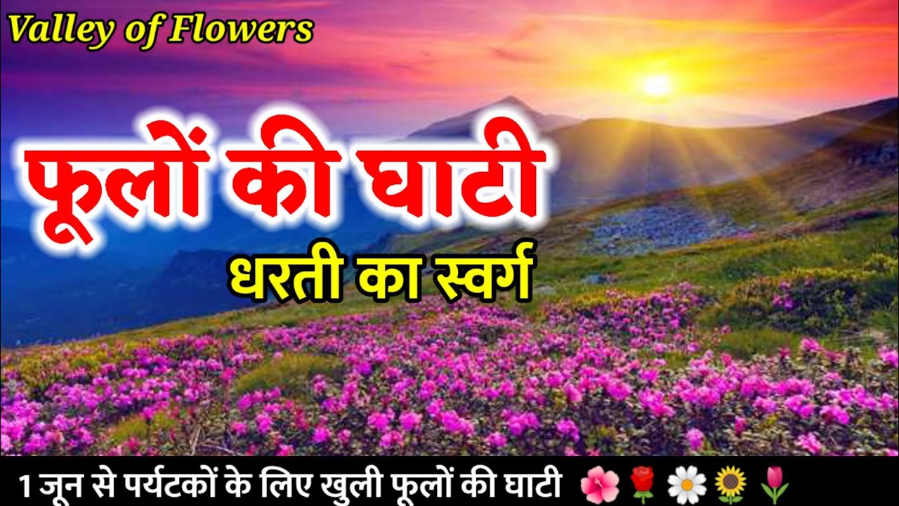 Phoolon ki ghati | dharti Ka swarg | valley of flowers
