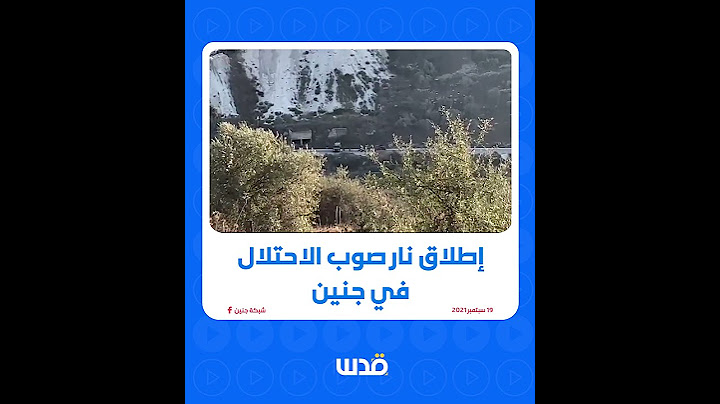 قبل قليل.. شاهد| إطلاق نار يستهدف قوات الاحتلال قرب المدرسة الأمريكية في جنين.
