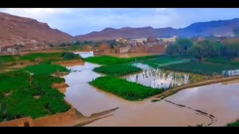 ماتيسر من سورة الاحزاب القارئ  الشيخ صالح بن عمر الشرفي