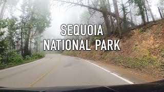 Sequoia National Park Scenic Drive in 4K