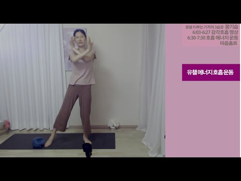 1117회 /2021년 <strong>7월</strong> 27 화요일 새벽 6시 꿈기습 호흡 명상 에너지 운동 마음홈트 대퇴사두근 햄스트링 <strong>스트레칭</strong> 및 여리여리상하체 유챌 호흡 에너지 운동은 무엇인가요?