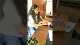 Platform Schools U0026 Sofs Unite To Chdanion Traumasafe Schoolsfollowers  everyone  fyp