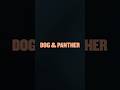 Dog &amp; Panther - Summer 2025