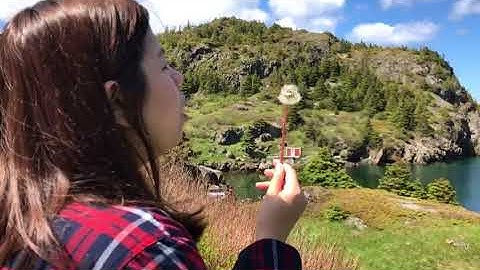 Bacon Cove, Newfoundland