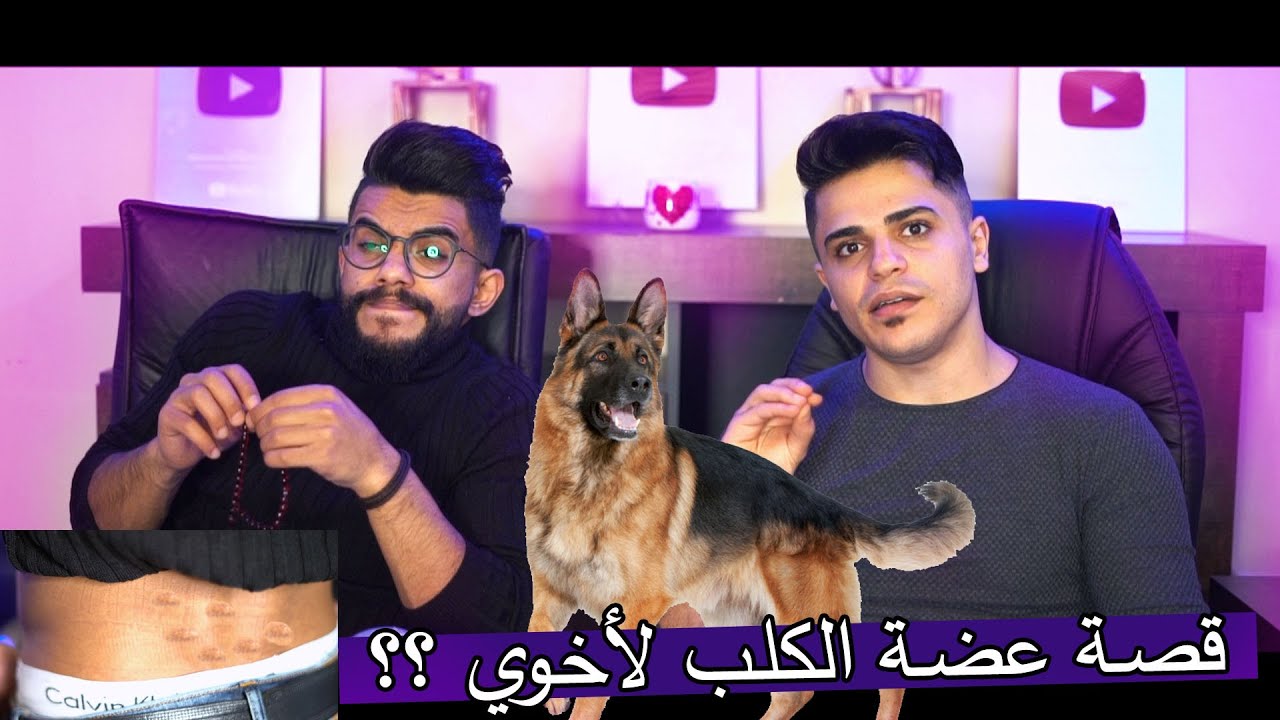 قصة ونحنا صغار ؟؟ الكلب عضو لأخوي !!