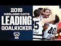 Every goal from tom hawkins in 2019  leading goalkickers  afl