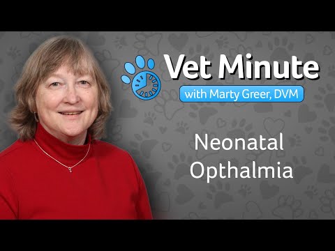 Video: Ophthalmia neonatorum ni ipi?