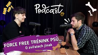 Tomáš Nushart: Elektronické obojky by se neměly volně prodávat. Pozitivka je vhodná pro všechny.