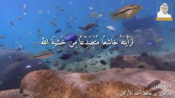 تلاوة للقارئ عبدالعزيز حافظ أحمد الأركاني ماتيسر من سورة الحشر{١٧-٢٤}