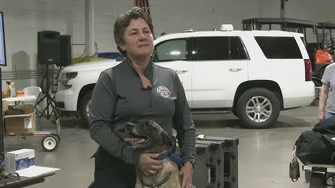Ohio Task Force 1 members deployed to assist flood response in Texas