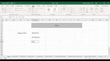 Excel Basics: How to Filter Data in Microsoft Excel - 2, Automation Analytics, MIS Family, Data