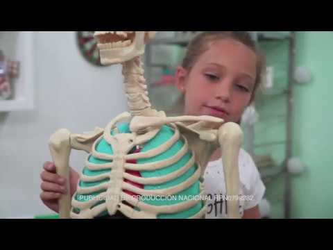 Las recetas para el adelgazamiento con la aplicación del jengibre