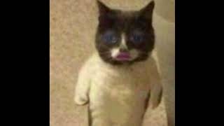 Öyle Kolaysa Speed Up