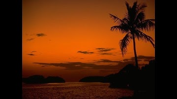 تلاوة مرتلّةخاشعة من سورة القصص @ الشيخ راغب غلوش رحمه الله