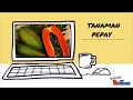 Laporan Hasil Observasi Tanaman Pepaya