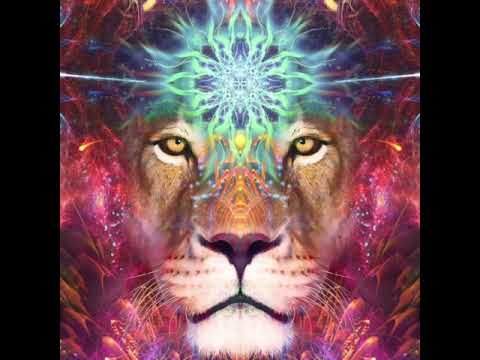 lionsgate 88 portal - soul journey