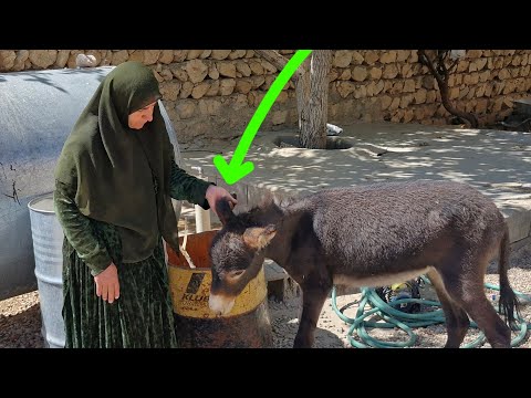 ۴ اکتبر ۲۰         ۲۵