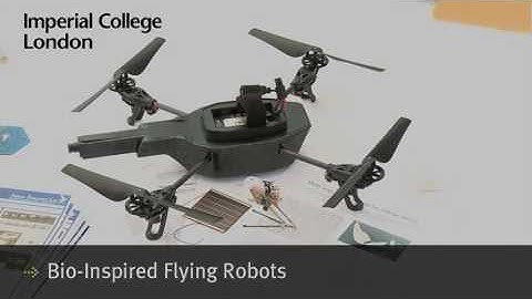 BioInspired Flying Robots