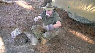 DOWN'N'DIRTY WOODSCRAFT BANK A FIRE