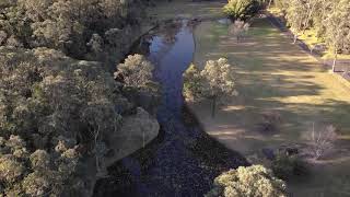 Our Secret Garden Berkeley Vale NSW Australia