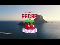 Pacha ibiza turns 50