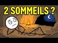 Que faisaient les anciens humains la nuit ?