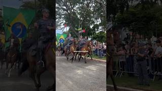 Cavalos da Polícia Militar- sai da frente #reels #shortsvideo