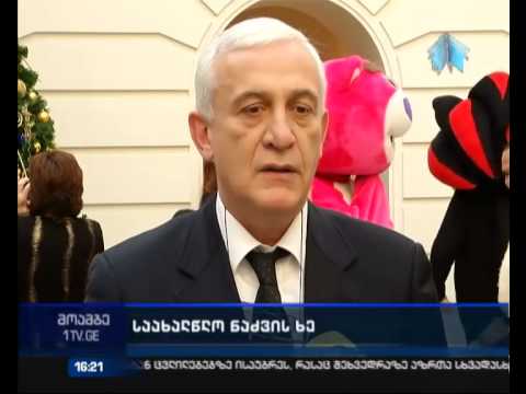 თბილისის საკრებულომ პატარები საახალწლო ნაძვის ხეზე მიიწვია